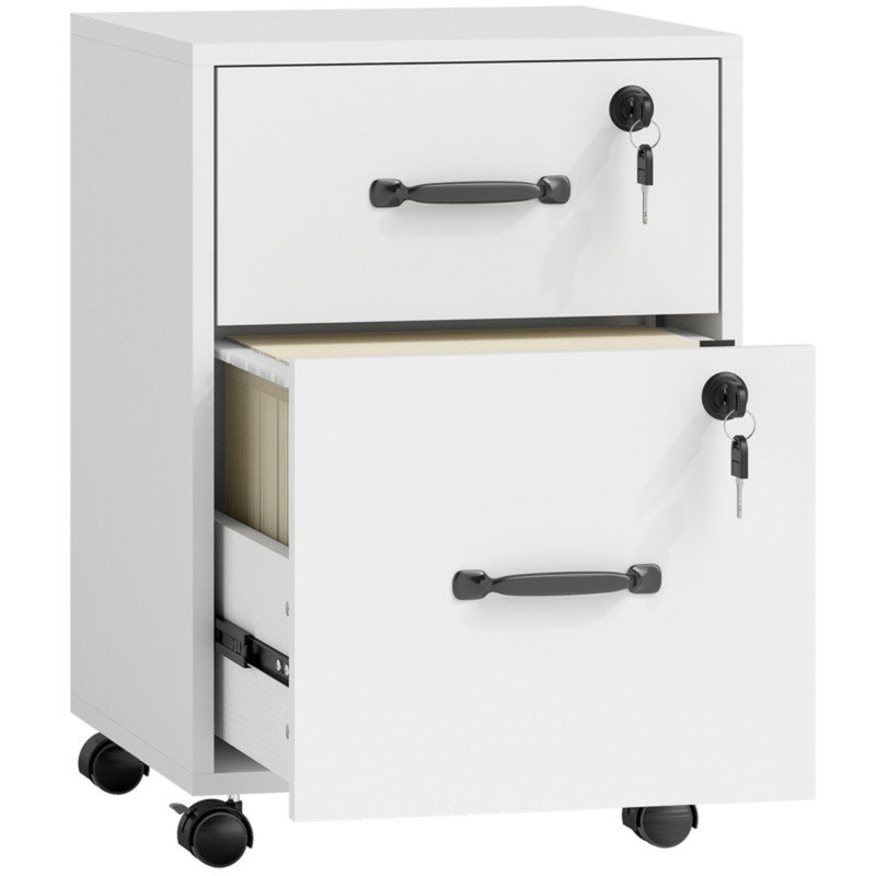 Cabinet Office Storage Cabinet