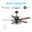 Ventilateur de plafond standard à 5 pales 52 po avec commande murale et ensemble d'éclairage inclus Heritage-1112404116