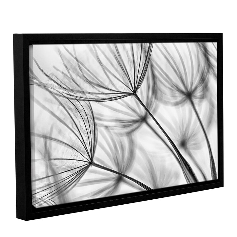 'Parachute Seed I' by Cora Niele Framed Graphic Print on Wrapped Canvas
