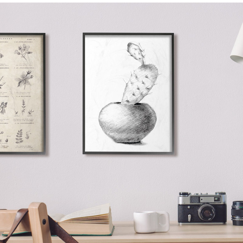 « cactus graphite drawing », reproduction de dessin, H 14 po x l 11 po x P 1,5 po, Giclée encadrée noir minuit