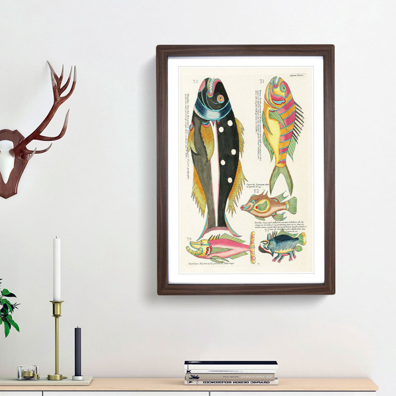 East Indies Fish Illustrations Septieme by Louis Renard - Picture Frame Graphic Art Print, Walnut Framed