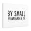 By Small Means - Wrapped Canvas Print-1617944226