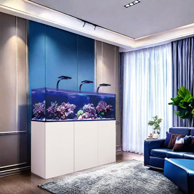 Simple Modern Rectangular Eco Aquarium Tank