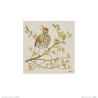 Dawn Chorus by Jane Bannon - No Frame Painting