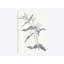« neutral botanique iv », reproduction d’impression sur toile tendue-27698584-72452565-72452567