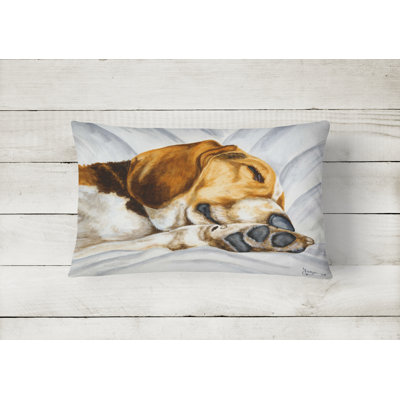 Outdoor Throw Pillow