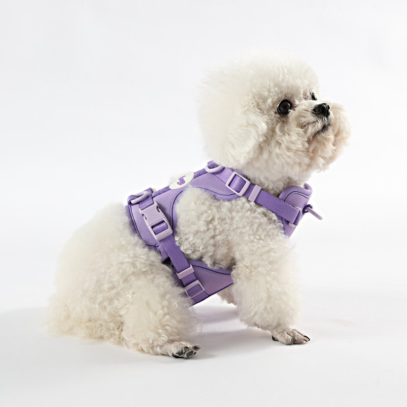 Harnais pour animal de compagnie Arlo, Mauve