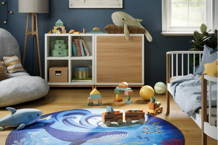 blue boy bedroom with coastal decor