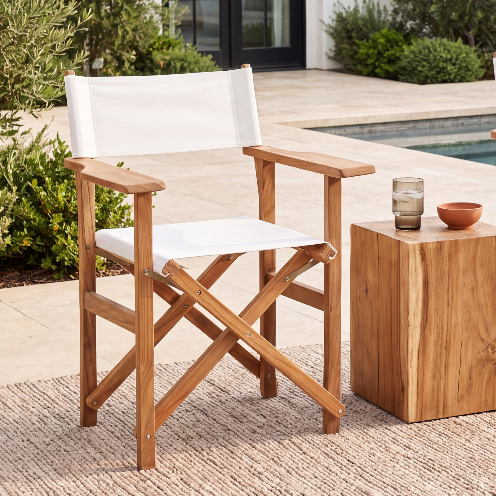 Reclining Director Chair