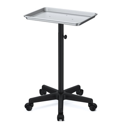 Utility Cart with Wheels Storage Cart with Tray Height Adjustable Salon Tray Cart