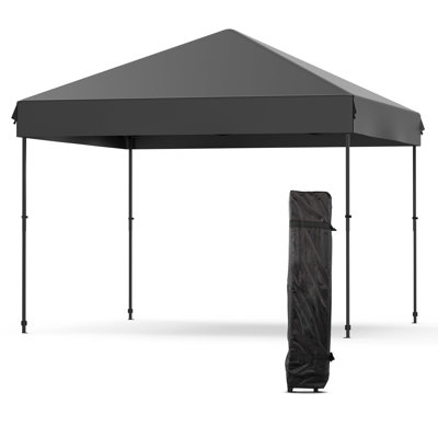 10x10 Pop Up Canopy Tent, Heavy Duty Iron Frame Easy Up Shelter with 210D Oxford Fabric, Portable Shade for Party Camping