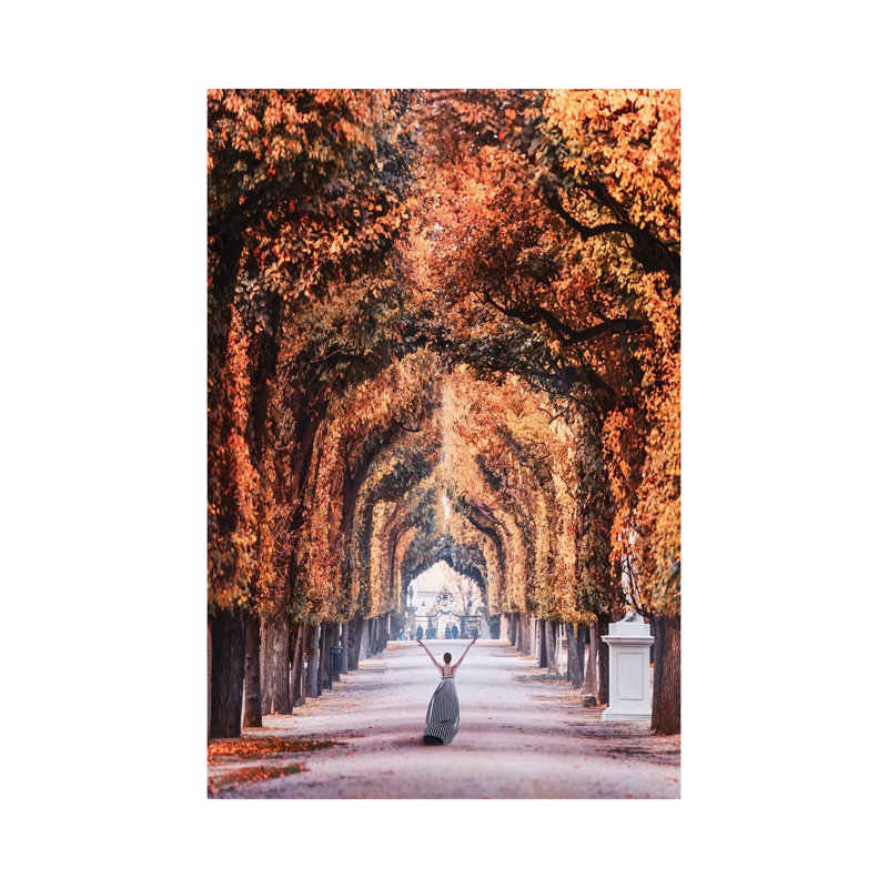 " Autumn In Vienna " by Hobopeeba, Wrapped Canvas, No Mat, 12'' H x 8'' W x 0.75'' D