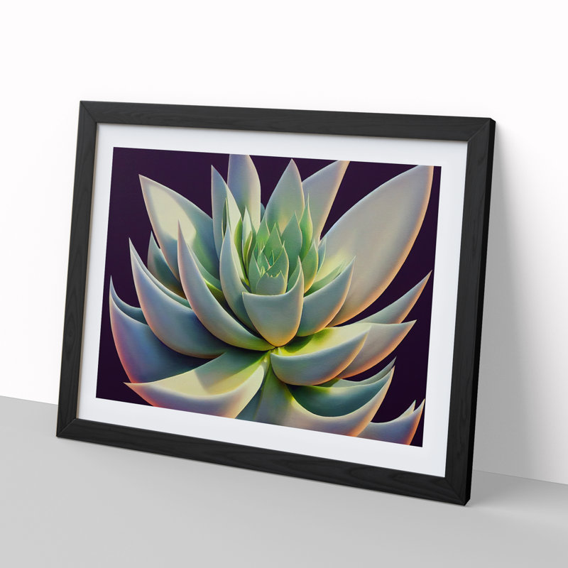 Ravishing Succulent Plant - Single Picture Frame Print, 34cm H x 46cm W x 2cm D, Black Framed