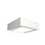 Ripado 1 - Light LED Flush Mount-99924233-69149612