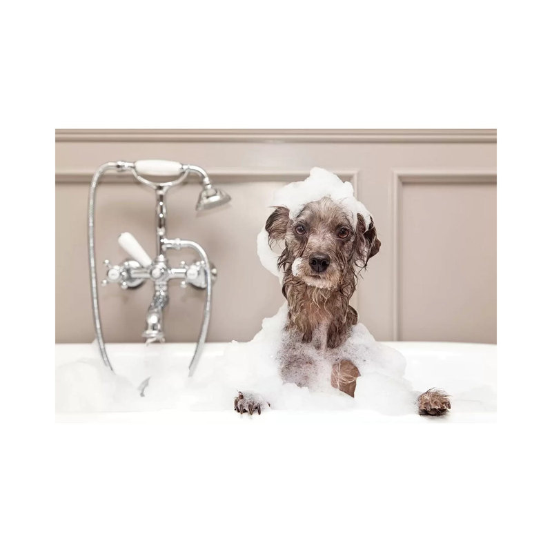 Funny Dog Taking Bubble Bath by Susan Schmitz - Print on Canvas, 66.04 cm H x 45.72 cm W x 1.91 cm D, Wrapped Canvas