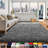 Grey Area Rugs For Bedroom Living Room, Fluffy Fuzzy Shag Shaggy 4X6 Bedside Rug, Gray Washable Soft Plush Indoor Floor Carpet For Nursery Girls Boys Teen Dorm Home Office Decor Aesthetic
