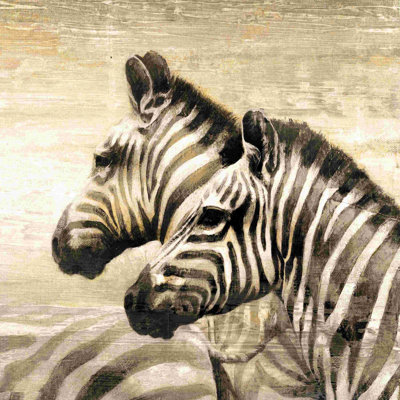 Zèbre sur crème délavée - reproduction sur toile tendue