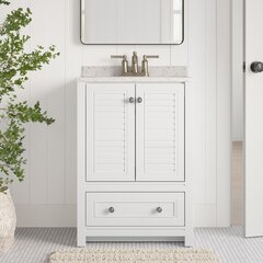24 inch Small Bathroom Vanity White Color with Storage (24Wx18.5Dx35H)  CF2822V24W