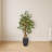 Ficus Artificial Tree in Black Planter