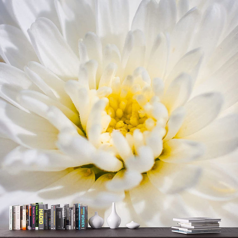 Gros plan sur une marguerite Gerbera, L 66 po x l 96 po