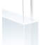 LED Pendant