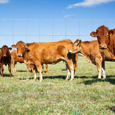 Heavy Duty Woven Wire Farm Fence, 14GA Galvanized Livestock Fencing for Cattle, Horse, Goat, Deer, Hog, Durable Field Panel with Graduated Mesh, 1.2x100M
