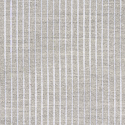 Tissu diaphane Schumacher x Patterson Flynn Wren