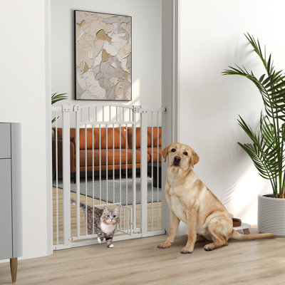 30"-41" Dog Gate with Small Door and Extension Kit, 42" H