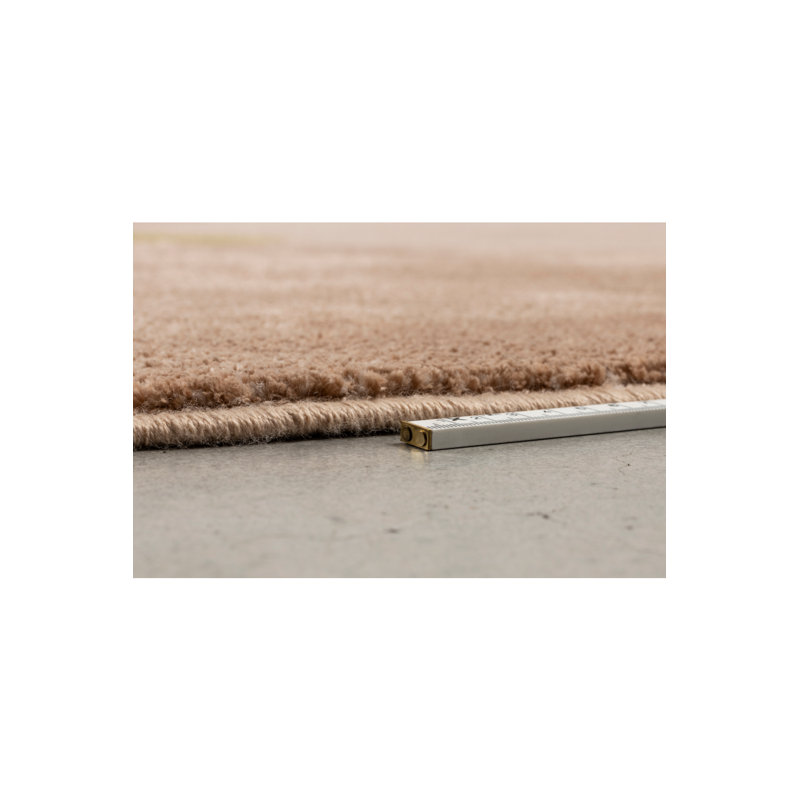 Phila Area Rug in Brown/Beige