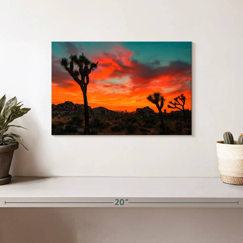 Palmiers Yucca Ravi Sunset, H 8 po x l 12 po