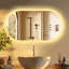 Oval LED Wall Mirror-957629151
