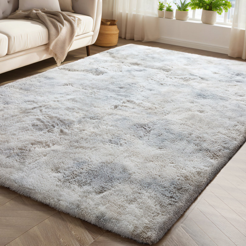 Allesha Standard Shag Area Rug, Rectangle 200 x 290 cm