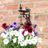 Blume Metal Hanging Decorative Bird Feeder