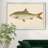 " Donovan Antique Fish II "-1932054238-1932054241