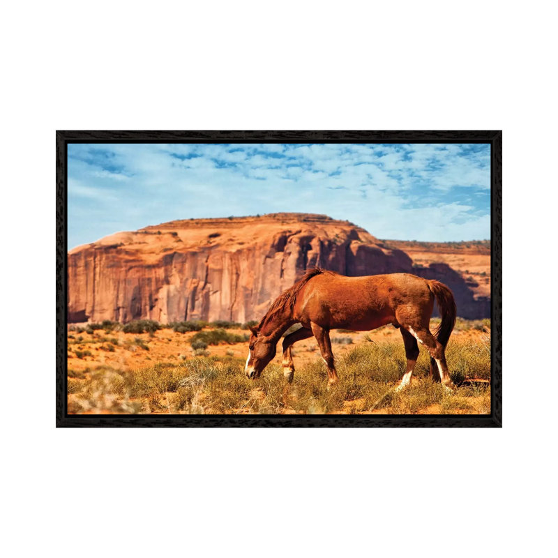 Horse In Utah Desert 1 Piece Wall Art on Canvas, 66.04 cm H x 45.72 cm W, Black Floater Framed