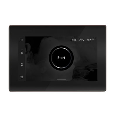 iSteamX Steam Shower Control and Steamhead
