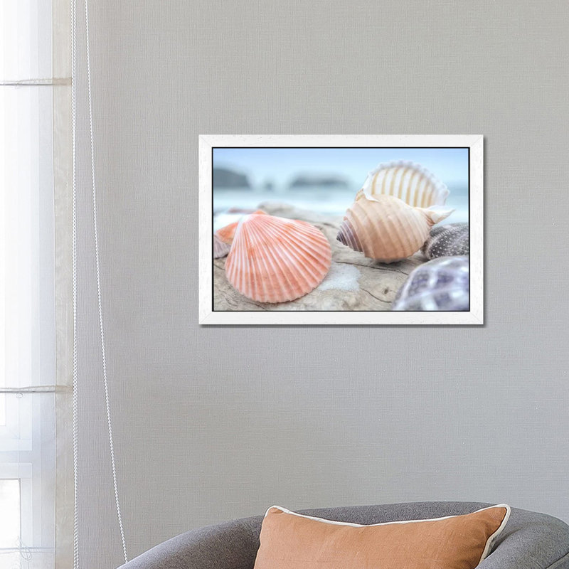 Crescent Beach Shells X by Alan Blaustein - Floater Frame Print on Canvas, White Framed, 66.04 cm H x 45.72 cm W