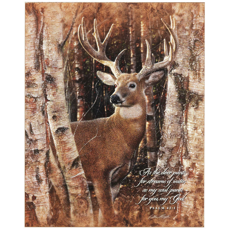 As As Deer Pants