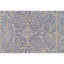 Ziegler 3000 Hand Knotted Wool Oriental Area Rug in Gray