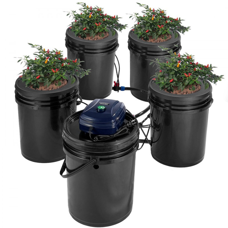 Système de culture RDWC Hydroponics, ensemble de culture hydroponique avec égouttoir supérieur, réservoir de culture en eau profonde recirculant 1, avec pompe à air et dispositif de niveau d'eau pour les légumes à feuilles