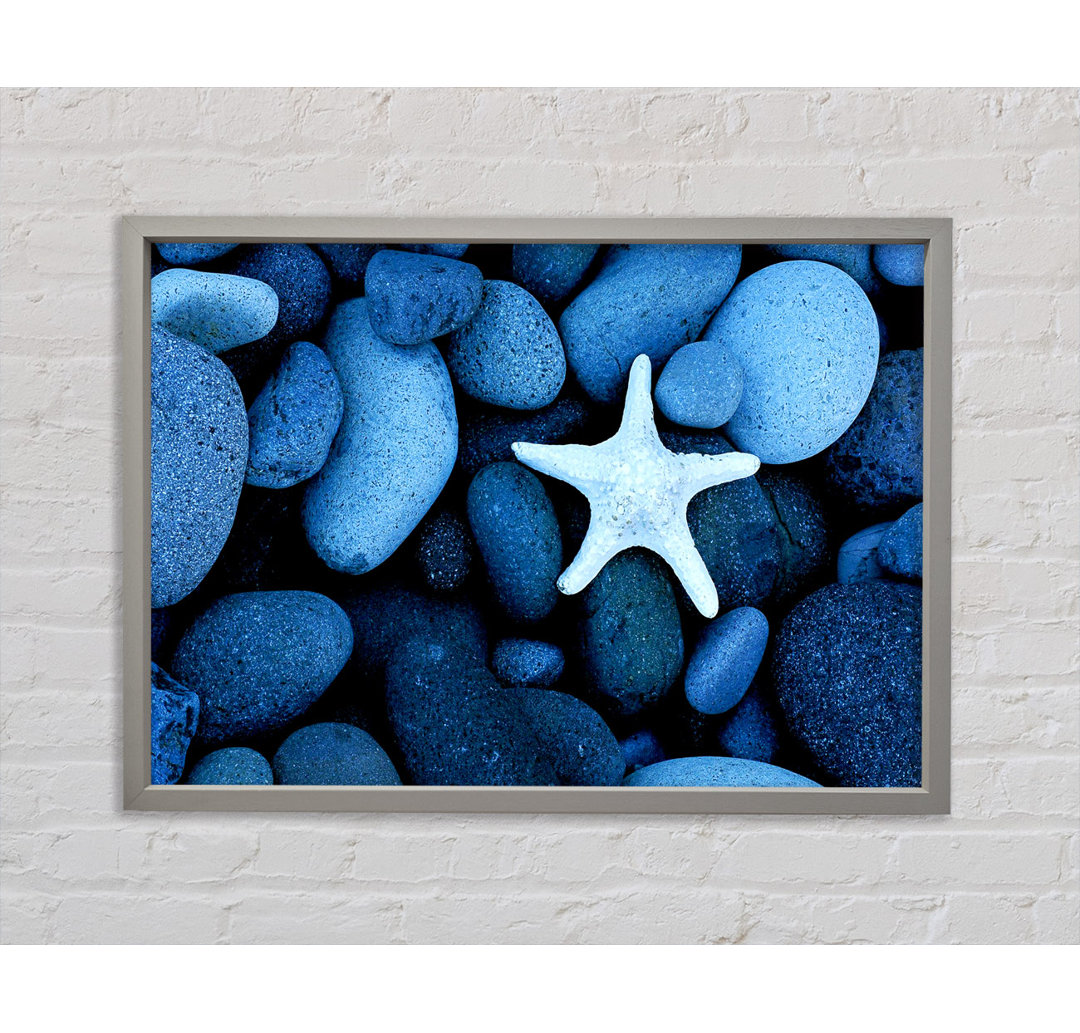 Star Fish Rocks - Einzelner Bilderrahmen Kunstdrucke auf Leinwand