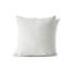 Coussin Paulie-108050711-108050712