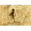 Tapis de couloir Olson