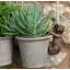 Bly Animals UV Resistant Stone Garden Statue