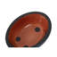 Lilou Soap Dish