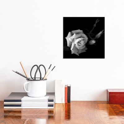 Lisianthus, B&W by Magda Indigo - Wrapped Canvas Print