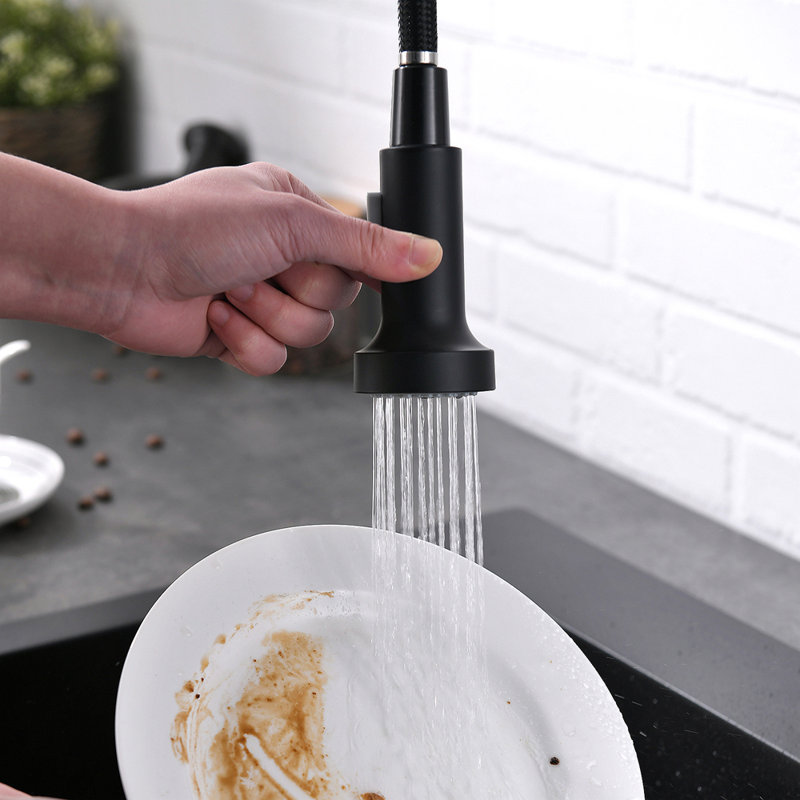 Kitchen Faucet With Pull Out Sprayer Stainless Steel Single Handle Kitchen Sink Faucets