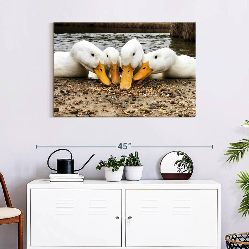 Brampt American Pekin Ducks, 24" H x 36" W
