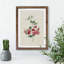 Sweet Pea Flowers - Framed Print-48226057-48226059