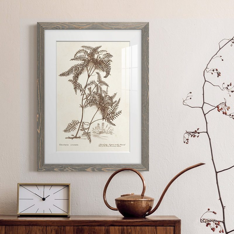 Sépia fougère Variétés III encadré mat - prêt à accrocher, Cadre gris, H 43,5 po x l 31,5 po x P 1 po